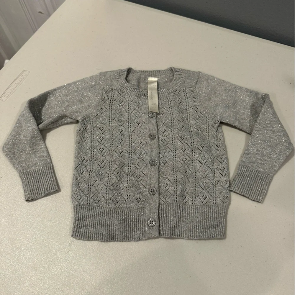 12 M Bundle Grey Sweater, Grey Sparkle Pants, Glitter Floral Long Sleeve Onesie